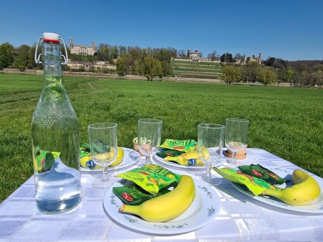 Dresden: Sightseeing Bicycle Tour With Tasting De/En - Customer Feedback