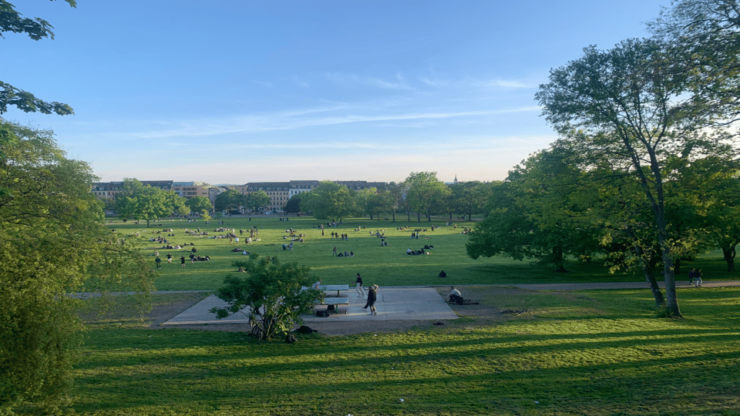 Dresden: Urban Nature& Counter Culture Tours - Dogs Welcome! - Itinerary Highlights