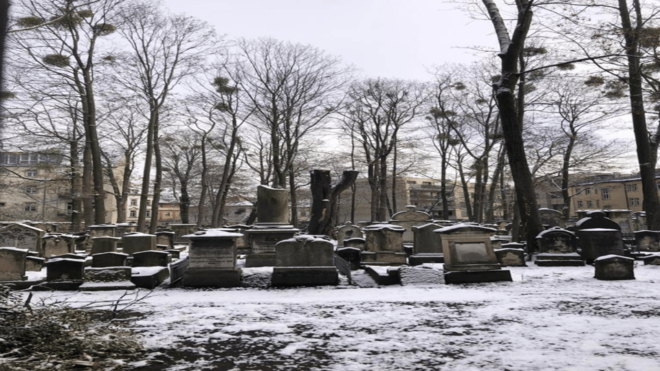 Dresden: Urban Nature& Counter Culture Tours - Dogs Welcome! - Tips for Participants