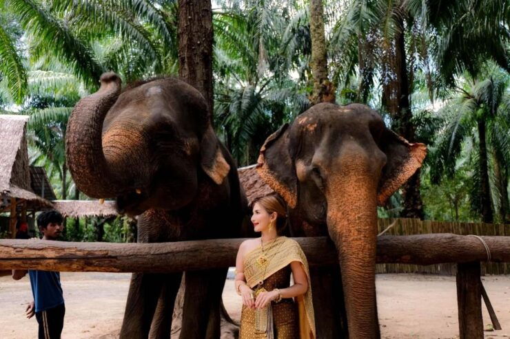 Dress in Thai Costume, Feed Elephants, and Photoshoot - Capturing Memories in a Thai Setting