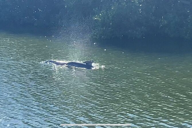Drinking With The Dolphins - What to Expect on the Tour