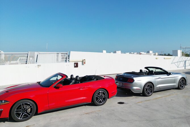 Drive a Mustang Convertible - Tips for Renting a Mustang Convertible