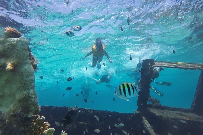 Drive an Speedboat at full speed at Cancun's Lagoon & Snorkeling - Final Thoughts