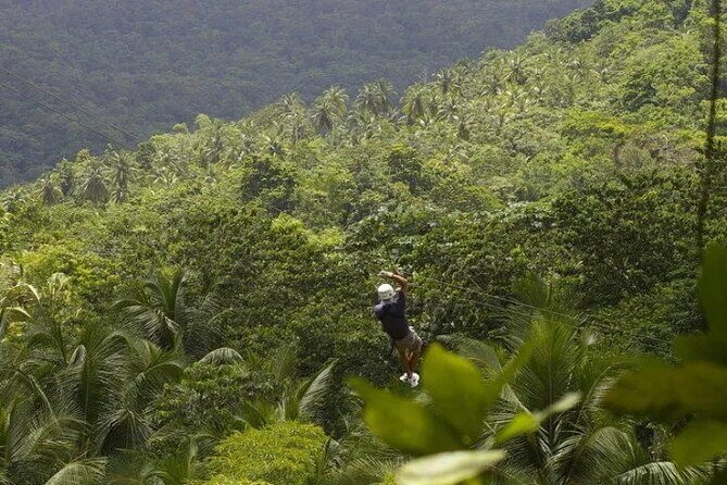 Drive and Fly - Buggy and Zipline - Good To Know