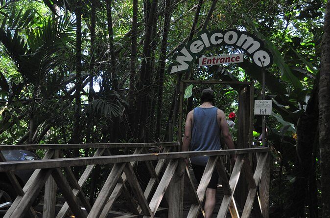 Drive and Fly - Buggy and Zipline - Who Should Book This Tour?