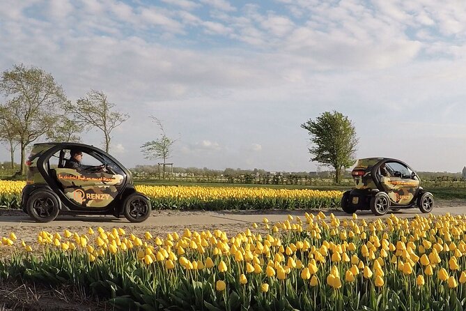 Drive It Yourself Electric Tulip and Flower Fields GPS Audio Tour - Pricing and Booking Details