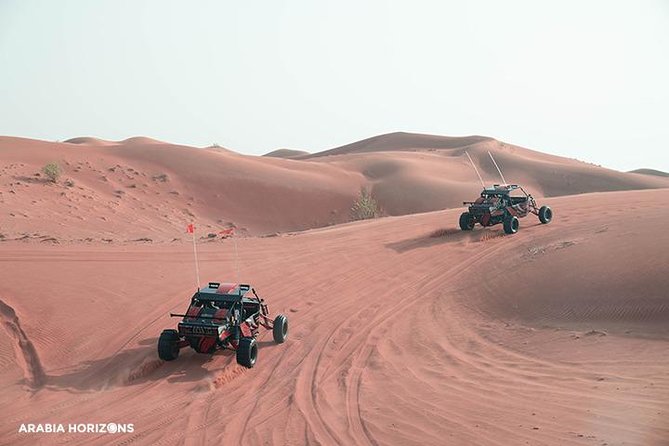 Drive Your Own Desert Fox Dune Buggy Safari - Traveler Photos and Reviews