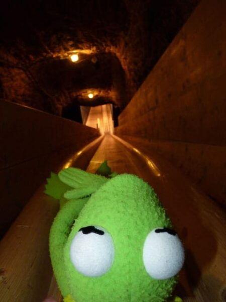 Driver-Guide: Salzburg-Königsee, Salt Mines and Eagles Nest - Meeting Point and Essentials