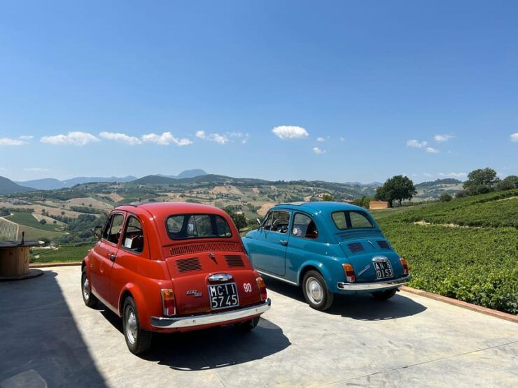 Driving Experience in the Hills of Verdicchio - Good To Know