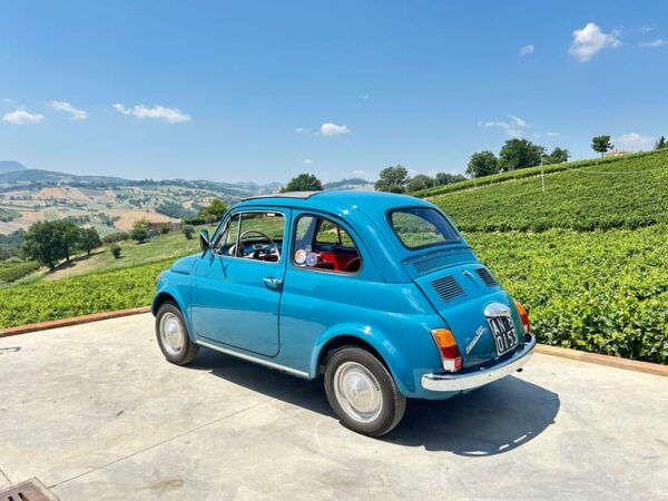 Driving Experience in the Hills of Verdicchio - Important Items to Bring