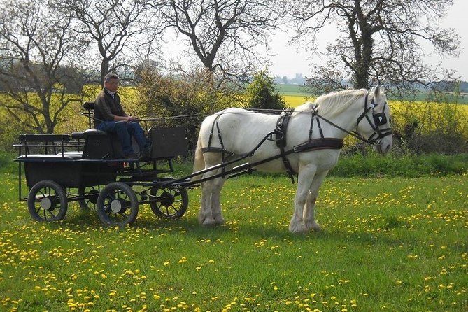 Driving in the Somme Valley - Highlights of the Horse-Drawn Carriage Ride