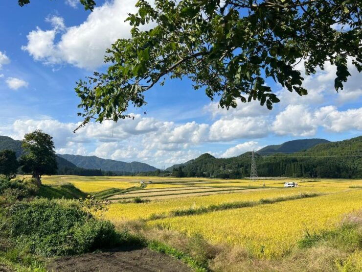 Driving Support in Akita - Booking Details