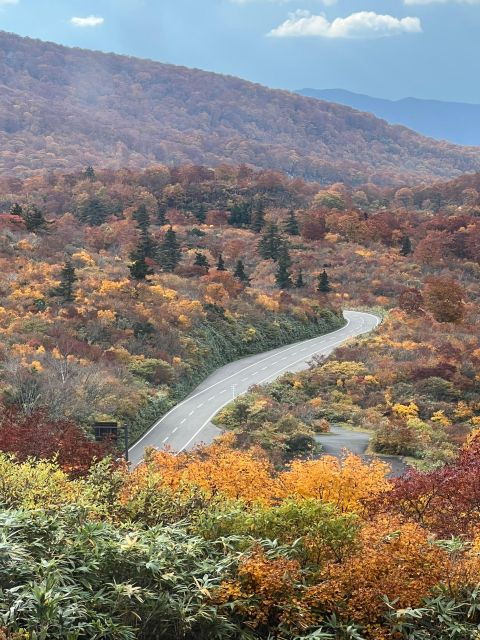 Driving Support in Akita - Experience and Services Provided