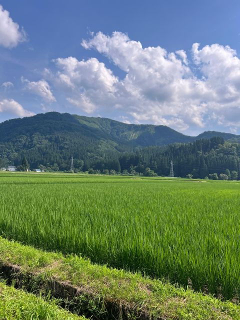 Driving Support in Akita - Meeting Point and Drop-off Location