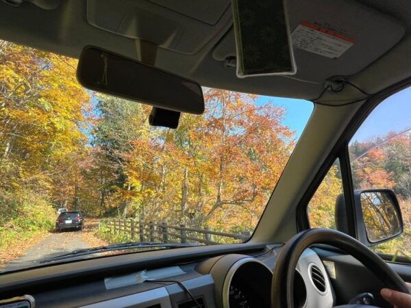 Driving Support in Akita - Sightseeing and Accessibility