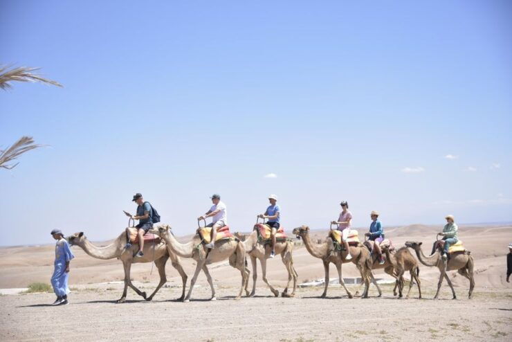 Dromedary, Quad, Tea Marrakech Desert and Mountain Explorati - Activity Details