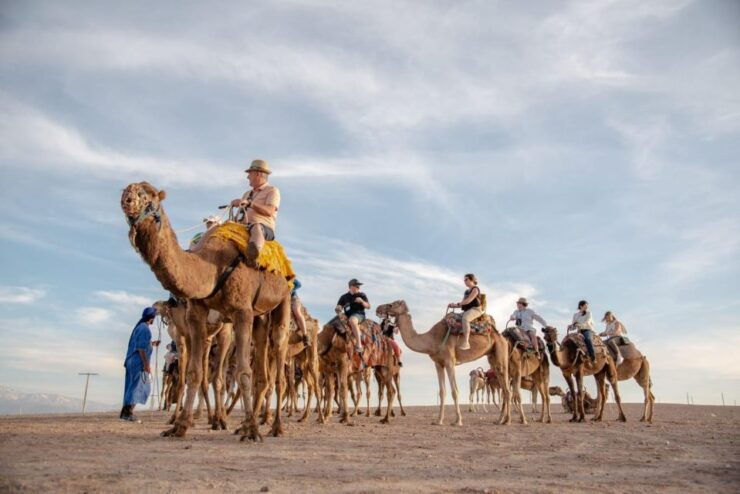 Dromedary, Quad, Tea Marrakech Desert and Mountain Explorati - Tour Highlights