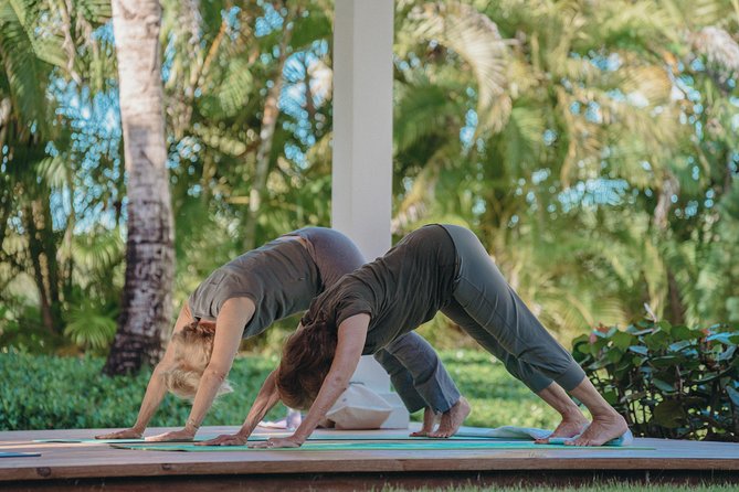 Drop-In Group Yoga Class - Punta Cana - Location and Meeting Point