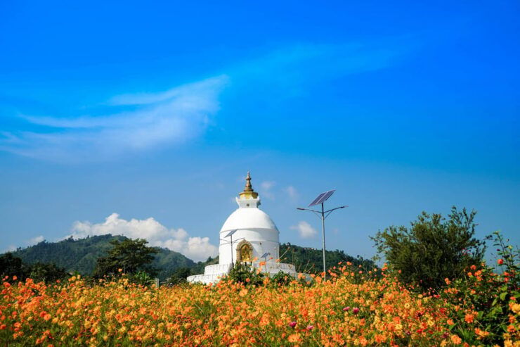 Drop off From Kathmandu to Pokhara in a Private Car - Booking Details