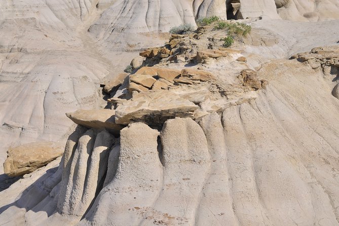 Drumheller (Dinosaur Valley) & Horseshoe Canyon 1-Day Tour - Tour Highlights