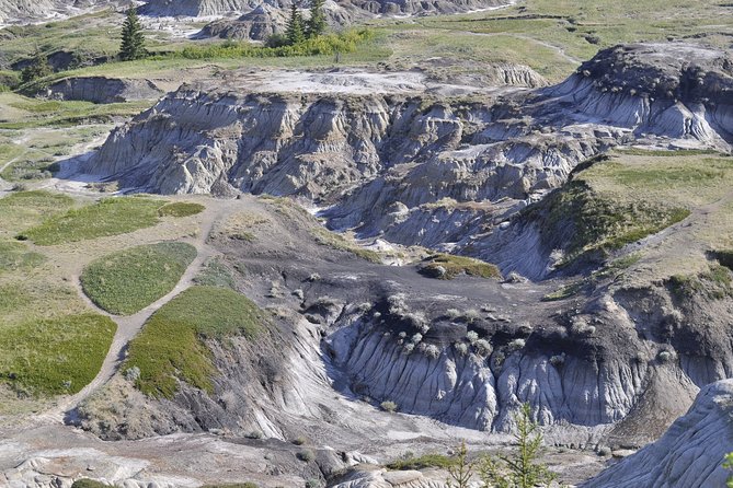 Drumheller (Dinosaur Valley) & Horseshoe Canyon 1-Day Tour - Tour Itinerary