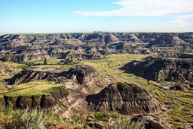 Drumheller (Dinosaur Valley) & Horseshoe Canyon 1-Day Tour - Dinosaur Valley Exploration