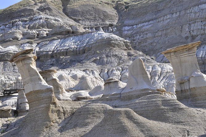 Drumheller (Dinosaur Valley) & Horseshoe Canyon 1-Day Tour - Traveler Reviews and Feedback