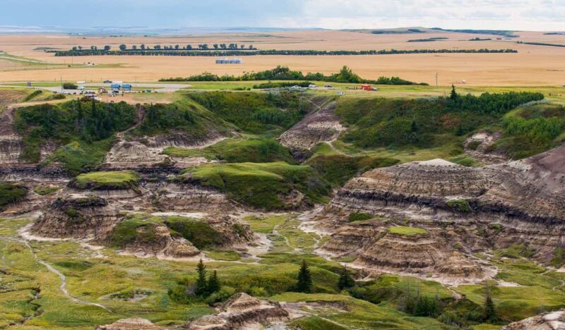 Drumheller: Dinosaurs, Canyons, & Hoodoos Day Tour - Exploring Alberta’s Badlands