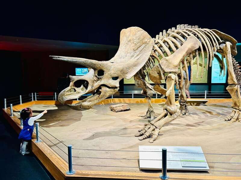 Drumheller Full-day Private Sightseeing Tour - Good To Know