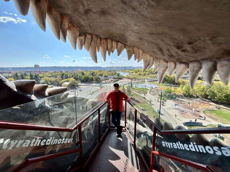 Drumheller Full-day Private Sightseeing Tour - The Allure of a Private Drumheller Tour