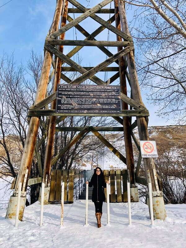 Drumheller Full-day Private Sightseeing Tour - Who Should Book This Tour?