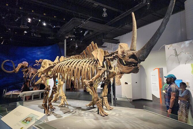 Drumheller, Royal Tyrrell Museum, Hoodoos & Coal Mine Adventure - Who Would Enjoy This Tour?