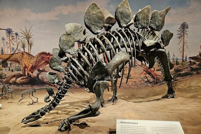 Drumheller, Royal Tyrrell Museum, Hoodoos & Coal Mine Adventure - Final Thoughts