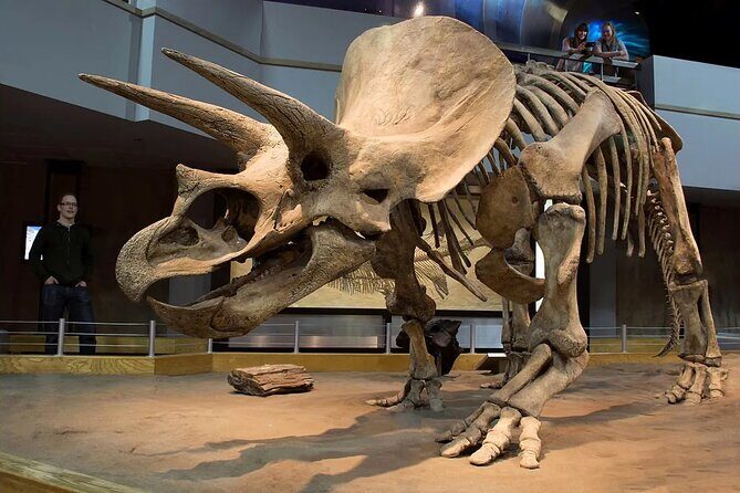 Drumheller, Royal Tyrrell Museum, Hoodoos & Coal Mine Adventure - FAQ