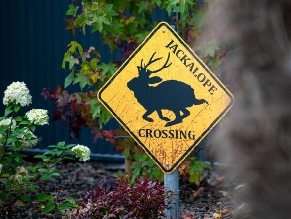 Drumshanbo: The Curious Journey Distillery Tour - Onsite Dining at Jackalope Café