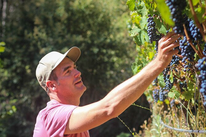 Drumstruck at Silvermist. Live African Drum Show & Wine Tasting - Inclusions and Meeting Point