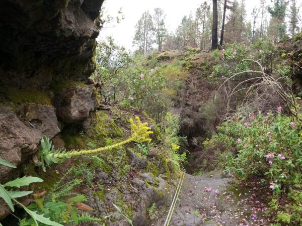 Dry Canyoning Chimoche - Dress Appropriately
