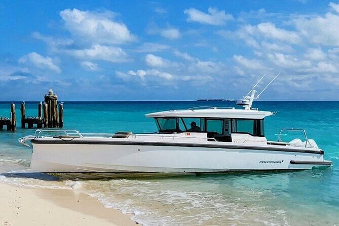 Dry Tortugas National Park Day Trip by Luxury Private Boat - FAQ