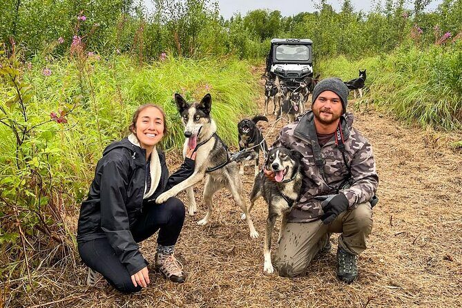 Dryland Dog Sled Tour - An In-Depth Look at the Dryland Dog Sled Tour