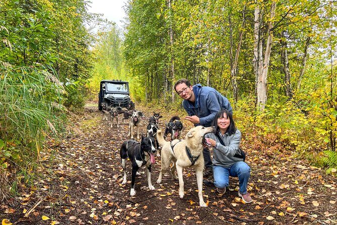 Dryland Dog Sled Tour - The Sum Up