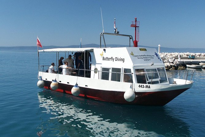 DSD - First Time Diving Course - Reviews and Testimonials