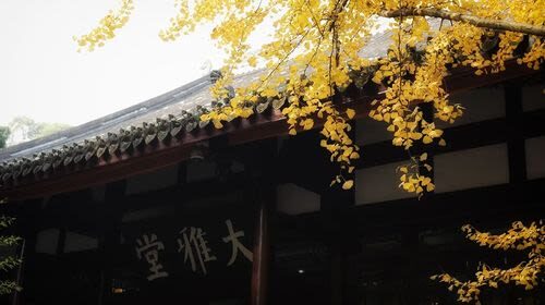 Du Fu Thatched Cottage - Follow the central path from the main gate