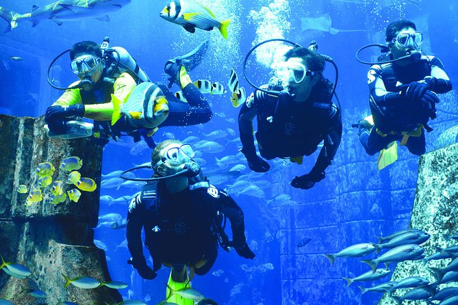 Dubai 2-Hour Small-Group Atlantis Discover Scuba Dive - Inclusions
