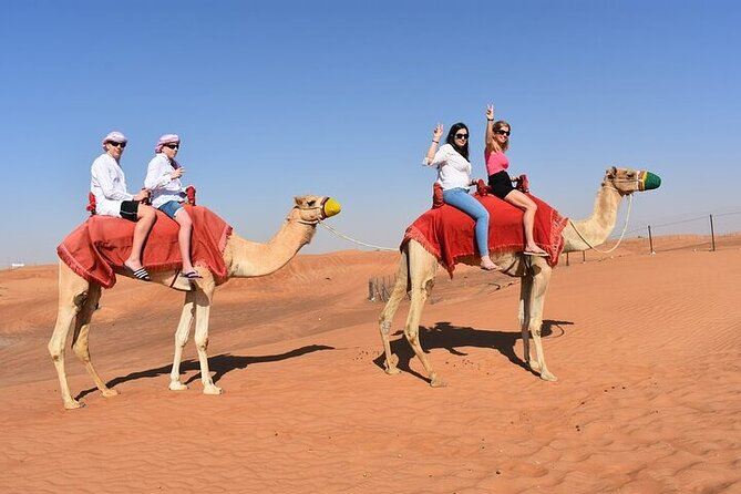 Dubai 4x4 Desert Safari Quad Bike Camel Ride and Sandboarding - Pricing and Guarantee