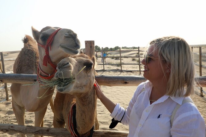 Dubai 4x4 Desert Safari, Quad Bike, Camel Ride & BBQ Dinner - The Sum Up