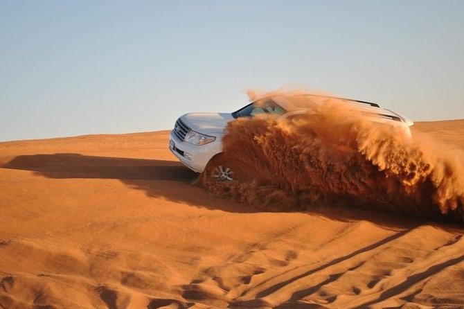 Dubai: Adventure Evening Desert Safari, Camel Ride, Shows & BBQ Dinner - Overview and Activities