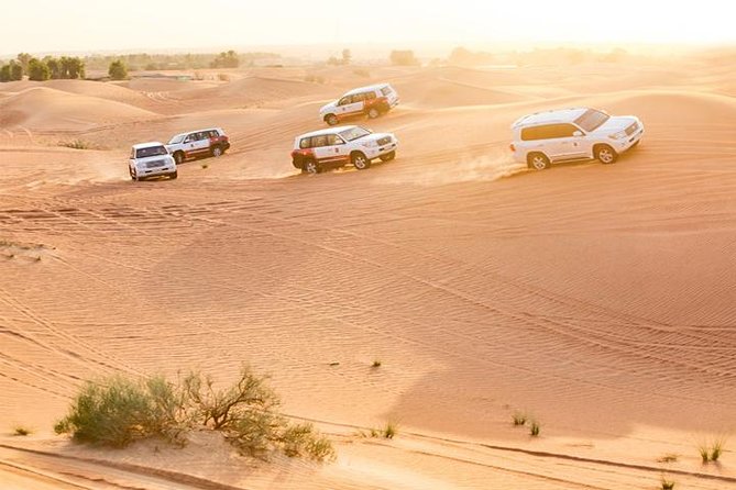 Dubai Afternoon Desert Safari and BBQ Dinner - Round-Trip Transfers and Transportation