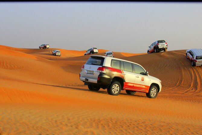 Dubai Afternoon Desert Safari and BBQ Dinner - Activities