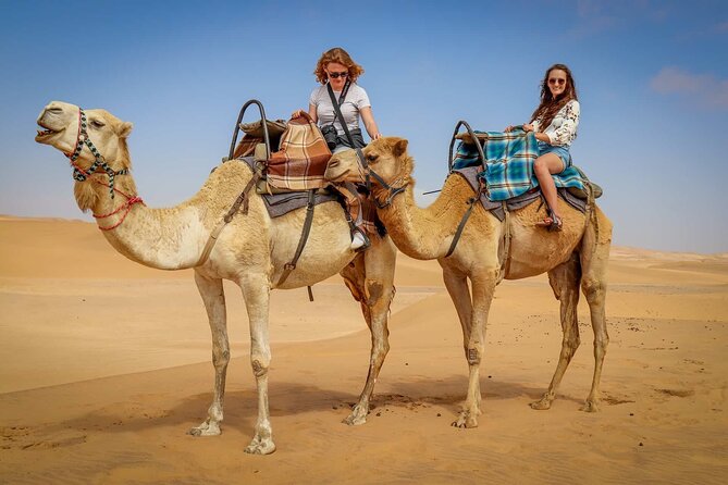Dubai Afternoon Jeep Dune Bashing With Camel Ride and BBQ Dinner - Safety First: Important Precautions