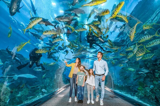 Dubai Aquarium and Underwater Zoo - Overview of the Dubai Aquarium and Underwater Zoo
